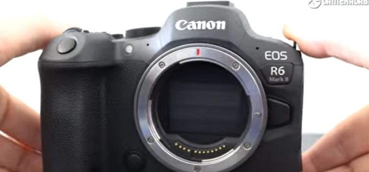 how long does canon backorder take